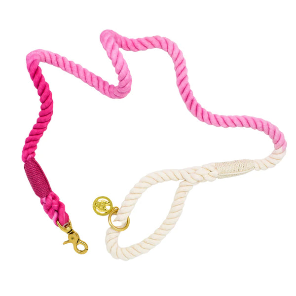 Pink Papyrus- 4" Rope Dog Leash