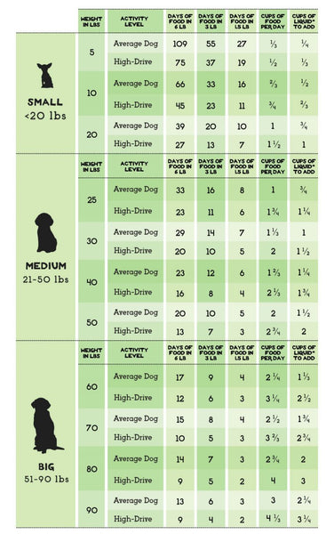 Bison